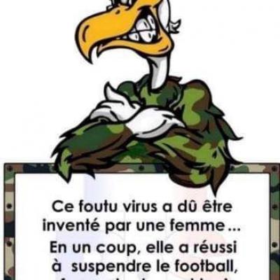 Virus invente par femme